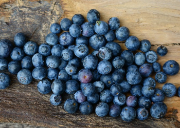 Berries: A Powerhouse for Heart Health and Brain Fog Reduction