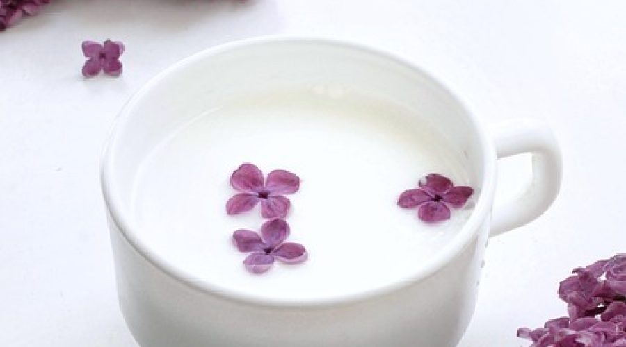 Can You Water Plants with Milk?